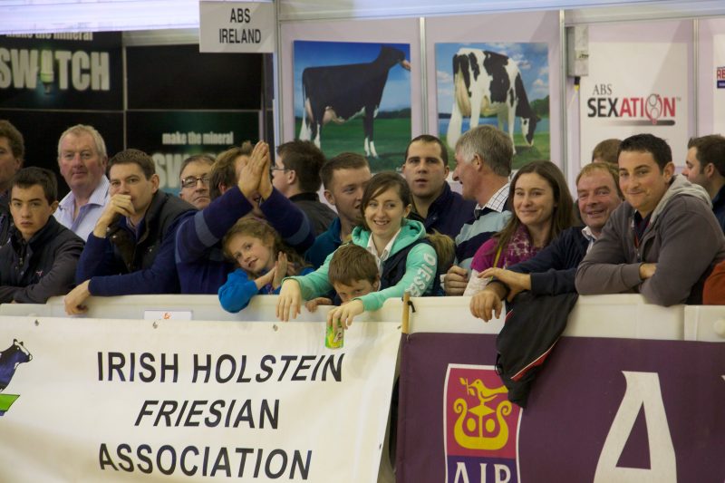National Dairy Show 2013, Millstreet, Cork, Saturday, 19th October.