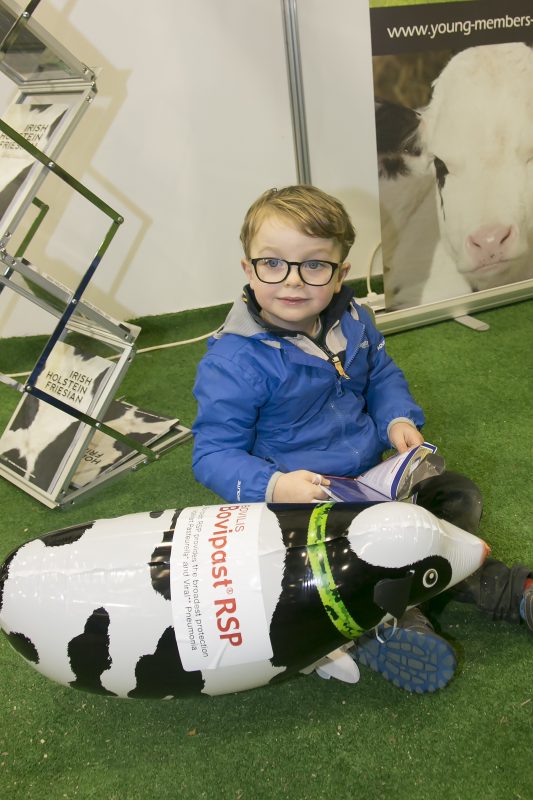 Mason O Leary Lisavard taking a brake at the National dairy Show