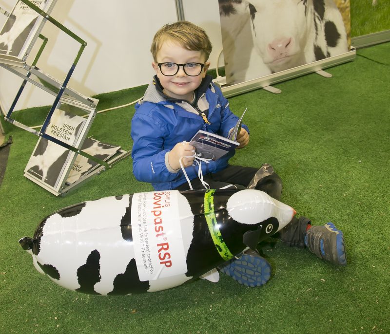Mason O Leary Lisavard taking a brake at the National dairy Show