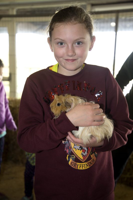 National Dairy Show is Sarah Casey