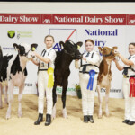 YMA Showmanship League Finals, Class A Handler aged 12 yrs and under on 1st Jan ‘23 exhibiting a Holstein or Jersey Calf - Judge, Alison Lawrie, , Andrea Deane 3rd, Georgina Hynes 2nd, Eva Hickey 1st, with Rachel White, IHFA on behalf of Sponsor FBD