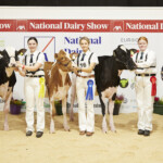 , YMA B Handler aged 13 - 16 years on 1st Jan ‘23 exhibiting a Holstein or Jersey Calf - Judge, Alison Lawrie, Kate Lehane 3rd, Hannah Greenan 2nd, Becky Hynes 1st with Richard Hamilton, President IHFA