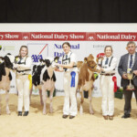 YMA C Handler aged 17 - 26 years on 1st Jan ‘23 exhibiting a Holstein or Jersey Calf - Judge, Alison Lawrie, Aimee O’Donovan 3rd, Sarah Shannon 2nd, Sarah Williamson 1st, Richard Hamilton, President IHFA with Sinead O’Sullivan, YMA Chairperson