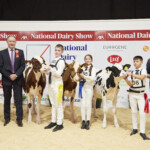 Novice Handler 1, Novice Handler aged Under 12 on the 1st Jan ‘23, exhibiting a Holstein or Jersey calf born in 2023 - Pictured are: Richard Hamilton, President IHFA, Judge, Ashley Fleming, Jack Barrett 3rd, Ailbhe Barrett 2nd, Gaeroid Long 1st with Donal Casey (Bank of Ireland)