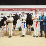 Novice Handler 2 Handler aged 12 - 18 years on 1st Jan ‘23 - Judge, Ashley Fleming, Claire Smith 3rd , Manus Murphy 2nd, Will Jones 1st, Jeremiah Daly (Eurogene AI Services), Sponsor and Richard Hamilton, President IHFA
