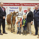 Jersey Junior Champion, Judge, Ashley Fleming Champion Jones Ferdinand Cupid exhibited by Gary & Izzy Jones, Izzy Jones, Handler with Rory and Ted Jones, Ursula Forrest, Cork Holstein Friesian Breeders Club President, and Sponsor, Stephen Lyons (Univet)