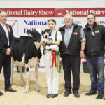 Class. 6 Heifer born between December 1st 2022 & January 9th 2022- Judge, Ashley Fleming, winner Hallow Alligator Carmen exhibited by Philip Jones, Kate Jones, Handler with Sponsor, Connie Horan and Gearoid O’Shea (McDonnell Brothers)