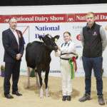 Class. 7 Heifer born between October 1st & November 31st 2022- Judge, Ashley Fleming, winner Rathard Unix Adina exhibited by Peter & Paula Hynes, Georgina Hynes, Handler, with Sponsor, Shane McCarthy (AIB)