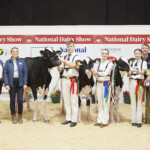 Junior Holstein Championship - Judge, Ashley Fleming, Catherine Heffernan and Michelle Crowley, MSD, Sponsors, Honourable Mention, Hilltara Diamondback Clevage exhibited by Philip Jones, Handler, Will Jones, Reserve Champion, Jones Lambda Jasmine ET exhibited by Ballywalter Farms, Handler, Andrea Rafferty Champion, Hallow Alligator Carmen exhibited by Philip Jones, Handler, Kate Jones, with Ursula Forrest Cork Holstein Friesian Breeders Club President, and Philip & Linda Jones
