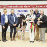 Junior Holstein Championship - Judge, Ashley Fleming, Catherine Heffernan and Michelle Crowley, MSD, Sponsors, Champion, Hallow Alligator Carmen exhibited by Philip Jones, Handler, Kate Jones, with Philip Jones, Ursula Forrest Cork Holstein Friesian Breeders Club President, and Linda Jones