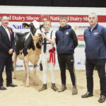 Class. 10 Confined Heifer in Milk - Judge, Ashley Fleming, 1st Cunniamstown Mimis Hagley exhibited by Richard Skehan, Handler, James Skehan with Richard Skehan and Sponsor, Michael O’Connor (Norbrook)