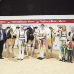 Intermediate Holstein Championship - Judge, Ashley Fleming, Richard Hamilton, IHFA President, Honourable Mention Hallow Denver Twizzle exhibited by Philip Jones, Handler, Andrea Rafferty, Reserve Champion, Cherryblossom Unix Sue Imp VG 87 exhibited by Liam & Sandra Murphy, Handler, Manus Murphy, Champion, Jones Lambda Twizzle exhibited by Jones Holsteins, Handler, Izzy Jones, with Rory and Ted Jones, Ursula Forrest Cork Holstein Friesian Breeders Club President, Sponsor, Brian Harte (Tom Harte Farm Services)