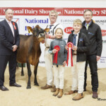 Class. 13J Jersey Heifer in Milk - Judge, Ashley Fleming, Cloonboygher Gilly exhibited by Eamonn & Helen McLoughney, Handler, Eamonn McLoughney, with children Cathal and Anna, as well as Sponsor, Adrian Packington (DSM)