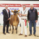 Class. 14J Jersey Cow in Milk - Judge, Ashley Fleming, winner Euro Joel Prance exhibited by Daniel & Emer Curtin, Handler, Daniel Curtin, with Sponsor, Billy Deane (WWS)