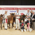 , Jersey Championship –Judge, Ashley Fleming, Honourable Mention Jones Ferdinand Cupid exhibited by Gary & Izzy Jones Handler, Izzy Jones, Reserve Champion Euro Joel Prance exhibited by Daniel & Emer Curtin Handler, Daniel Curtin, Champion, Cloonboygher Gilly exhibited by Eamonn & Helen McLoughney Handler, Eamonn McLoughney, with Anna and Cathal McLoughney, Ursula Forrest Cork Holstein Friesian Breeders Club President and Sponsor, Micheal O’Donovan (Southern Milling)
