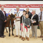 , Jersey Championship – Judge Ashley Fleming, Champion, Cloonboygher Gilly exhibited by Eamonn & Helen McLoughney Handler, Eamonn McLoughney, with Cathal, Anna and Helen McLoughney, Ursula Forrest Cork Holstein Friesian Breeders Club President and Sponsor, Micheal O’Donovan (Southern Milling)