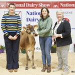 Highest EBI Jersey – Judge, Ashley Fleming, Gabriel Chrome Rose exhibited by Robert Shannon, Handler, Sarah Shannon with Sponsor, Avril Helen (Irish Jersey Cattle Association)
