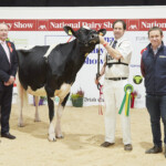 , Class. 15 Confined Cow in Milk - Judge, Ashley Fleming, winner Robinview Pharo Candy 474 exhibited by Michael McGrath, Handler, Tom McGrath, with Sponsor, Jack Hogan (Devenish)