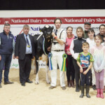 Confined Champion Cow – Judge, Ashley Fleming, Roche’s Feeds, Sponsor, Champion, winner Robinview Pharo Candy 474 exhibited by Michael McGrath and handled by Tom McGrath, pictured with their families Sheila, Michelle, Ciara, Cathal, Sarah, Sean, Micheal