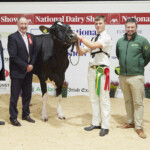 Class. 18 5 yr old cow in milk born between 1st Jan & 31st Dec ‘18 - Richard Hamilton, IHFA President, Judge, Ashley Fleming, winner Hallow Sol Twizzle exhibited by Philip Jones, Handler, Will Jones, with Sponsor, Stephen Dowling, (Dunmasc Genetics) and Linda Jones
