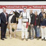 Class. 19 Mature cow in milk born before December 31st ‘17 Judge, Ashley Fleming, winner Eedy Damion Acclaim EX 94 2E exhibited by R&S, J&L Helen, Handler, Brendan Greenan, with Robert, Sylvia, Jason and Laura Helen, and Sponsor, Brid Garry, (Lely)