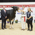 Class. 20 Production Class: Judged on Conformation - Richard Hamilton, IHFA President, Judge, Ashley Fleming, winner Hallow Atwood Carmen exhibited by Philip Jones, Handler, Philip Jones, with Sponsors, Aoife Bergin and Dylan O’Gorman (Dairygold)