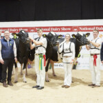 Class. 21 Group of 3 females owned by an exhibitor - Richard Hamilton IHFA President, Judge, Ashley Fleming, Laurence Feeney, IHFA CE, Sponsor with winning Group of three females exhibited by Philip Jones, Handlers Will Jones, Andrea Rafferty and Philip Jones, with Kate and Linda Jones