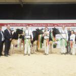 Irish Examiner Supreme Championship final line up with sponsors – Denis Kiely, Show Director, Tom McCarthy, AXA Farm Insurance, Sponsor, Richard Hamilton, IHFA President, Judge Ashley Fleming, Honorable Mention Cow EEDY DAMION ACCLAIM, owned and bred by Robert, Sylvia, Jason and Laura Helen, handler Brendan Greenan, Philip Jones with Reserve Champion Cow HALLOW DIAMONDBACK TWIZZLE 3, owned and bred by Philip and Linda Jones, Jason, Laura, Robert and Sylvia Helen with the 2023 Supreme Champion Cow EEDY DOORMAN FAME, owned and bred by Robert, Sylvia, Jason and Laura Helen, being presented with the Supreme Champion Cup by Ursula Forrest, Cork Holstein Friesian Breeders Club President and Rachel Martin, Irish Examiner, Sponsor