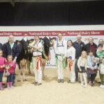 Irish Examiner Supreme Champion and Reserve Champion with family and sponsors – Judge Ashley Fleming, Micheal O’Connor, Devenish, Sponsor of Exhibitor Bred Champion, Denis Kiely, Show Director, Richard Hamilton, IHFA President, Graham Wheatley presenting the Reserve Champion Exhibitor Bred Walter Wheatley Perpetual Cup, in memory of his grandfather, Philip Jones with Reserve Champion Cow HALLOW DIAMONDBACK TWIZZLE 3, owned and bred by Philip and Linda Jones, Jason, Laura, Robert and Sylvia Helen with the 2023 Supreme Champion Cow EEDY DOORMAN FAME, owned and bred by Robert, Sylvia, Jason and Laura Helen, being presented with the Pat Sweeney Champion Exhibitor Bred Perpetual Cup by Margaret Sweeney in memory of her husband, with Ursula Forrest, Cork Holstein Friesian Breeders Club President