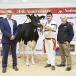 Class. 10 Heifer born between July 1st & December 31st 2020 - Judge, David Jones, winner Euro Doorman Roxy exhibited by Daniel & Emer Curtin, Paul Murphy, Handler, with Sponsor, Martin Duffy (Chanelle)