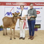 Highest EBI Jersey – Judge, David Jones, Gabriel Chrome Rose exhibited by Robert Shannon, Handler, Sarah Shannon with Sponsor, Avril Helen (Irish Jersey Cattle Association)