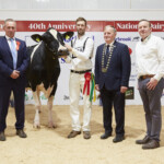Class. 20 Mature cow in milk born before December 31st ‘16 - Judge, David Jones, winner Hallow Atwood Twizzle 1181 exhibited by Philip & Linda Jones, Handler, Gary Jones, Richard Whelan, IHFA President, Laurence Feeney, IHFA CE (Sponsors)