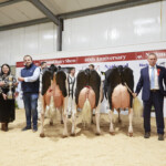 Denis Kiely, NDS Chairperson, Rachel Martin, Irish Examiner, Tom McCarthy, AXA, Honourable Mention Bawnmore Unix Jeanette 2 exhibited by Bryan & John O'Connor, Handler Brendan Greenan, Reserve Champion, Coolroe House Real Seal Sooty exhibited and lead by Paul Murphy, Champion Hallow Atwood Twizzle 1181 exhibited by Philip & Linda Jones, Handler Gary Jones, Judge, David Jones, Christopher Doherty, AXA